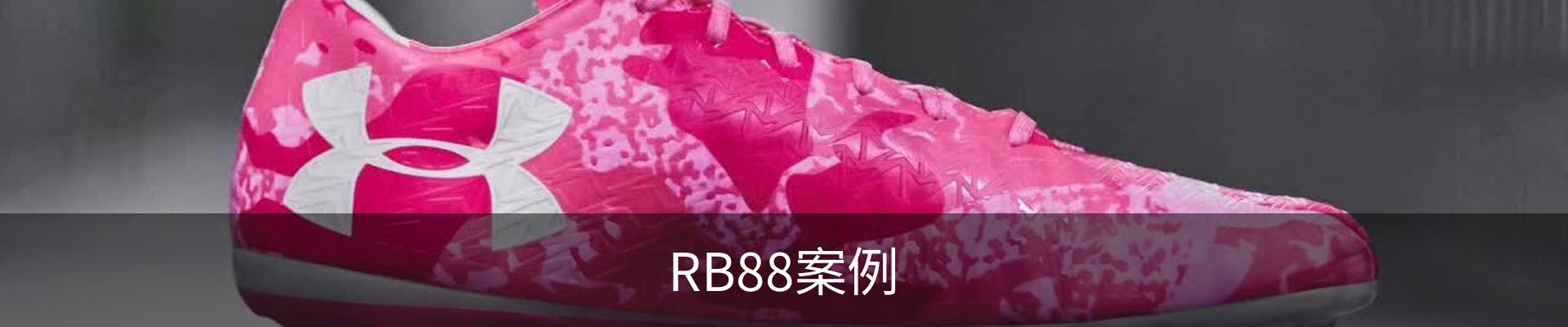 RB88案例